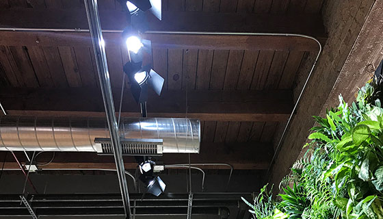 Cielux LED for Coates Headquarters