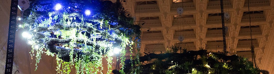 Cielux Track Lighting for Field Museum Hanging Plant Clouds