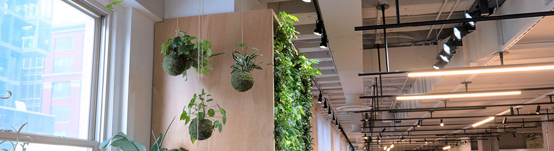Cielux Track Lighting for Steelcase Coalesse Living Walls