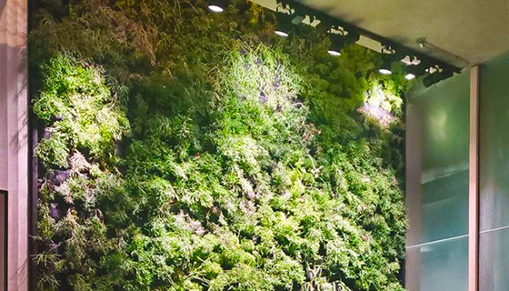 Cielux LED for Cascada Thermal Springs