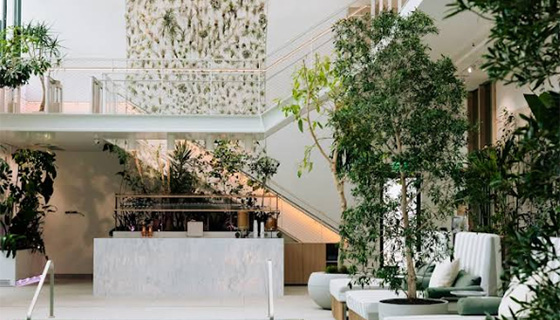 Cielux LED for Cascada Thermal Springs