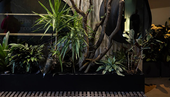 Cielux LED for Cascada Thermal Springs