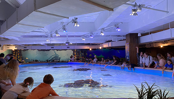 Cielux LED for Georgia Aquarium Explorers Cove