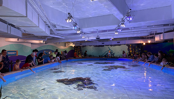 Cielux LED for Georgia Aquarium Explorers Cove