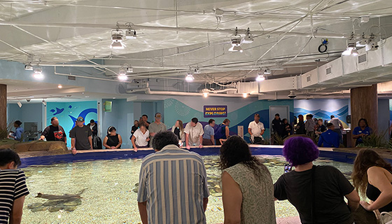 Cielux LED for Georgia Aquarium Explorers Cove