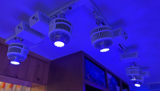 Cielux LED for House of Fins Showroom