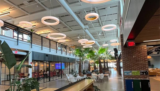 Cielux LED for Palm Trees at Hula Lakeside in Vermont