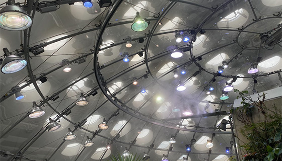 Cielux LED for Osher Rainforest Biodome