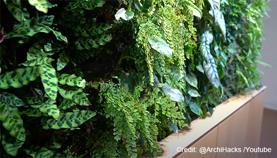 Cielux LED for Perkins+Will Vancouver Living Wall