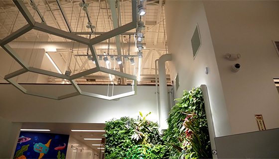 Cielux LED for Prolific Machines Living Wall