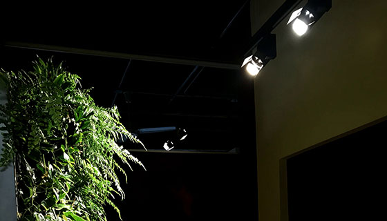 Cielux LED for Sage Greenlife Office