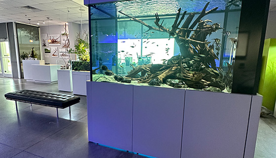 Cielux LED for Aquarium Design Group Showroom